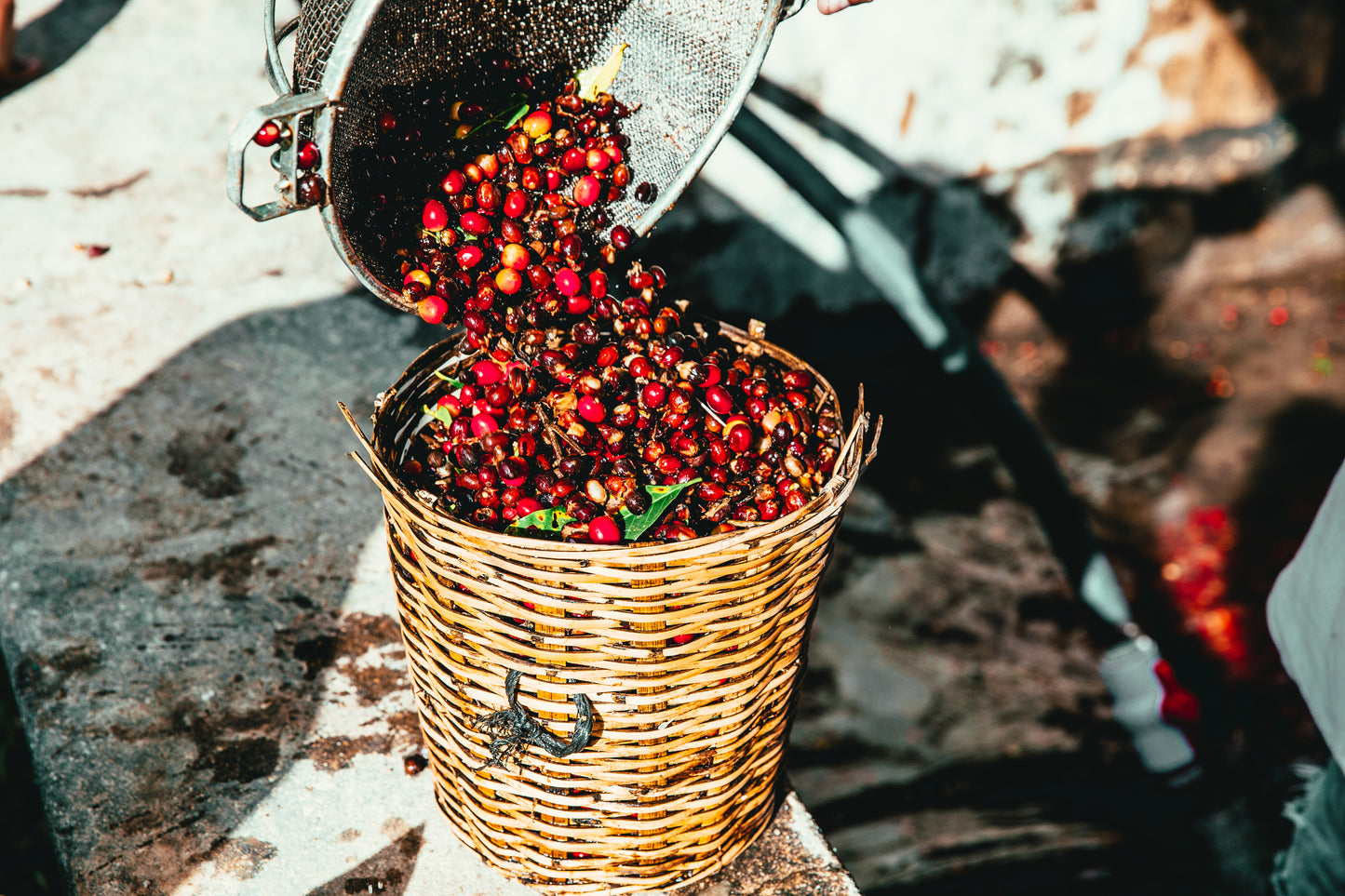 Ethiopia Natural