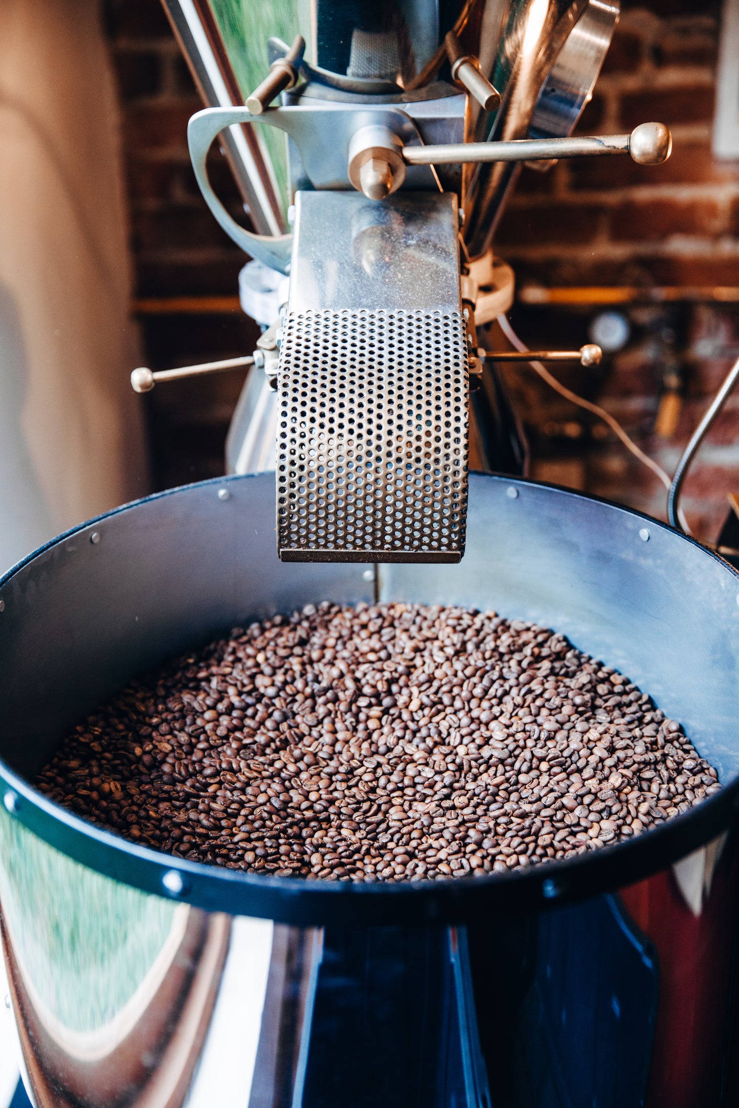 6 Bean Blend